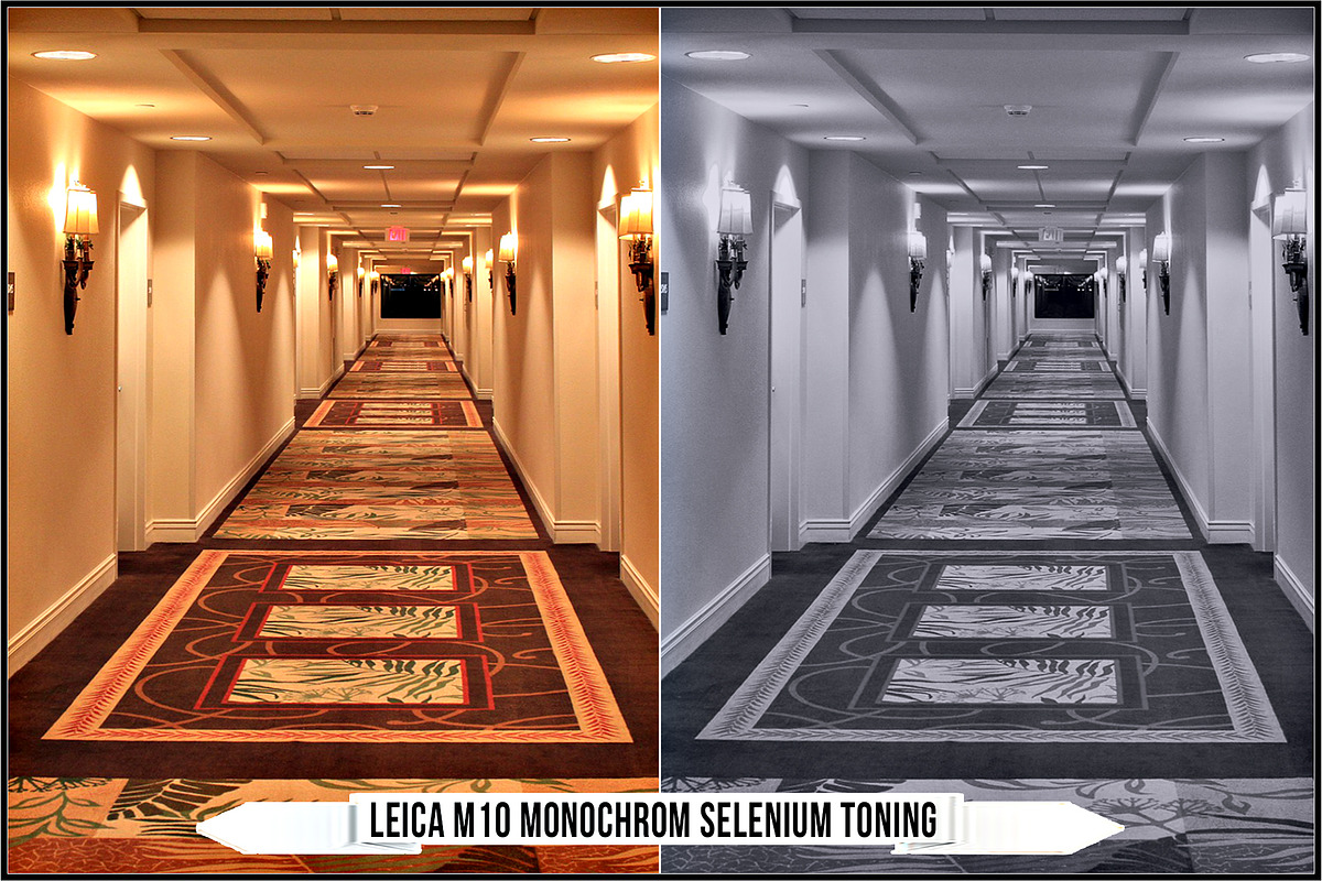 Leica Monochrom Profiles, a Plug-in Add-On by Raztrend (Photo 20 of 31)