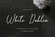 White Dahlia - Romantic Script Font, a Handwritten Font by Bluestype Studio (Thumbnail 1 of 9)