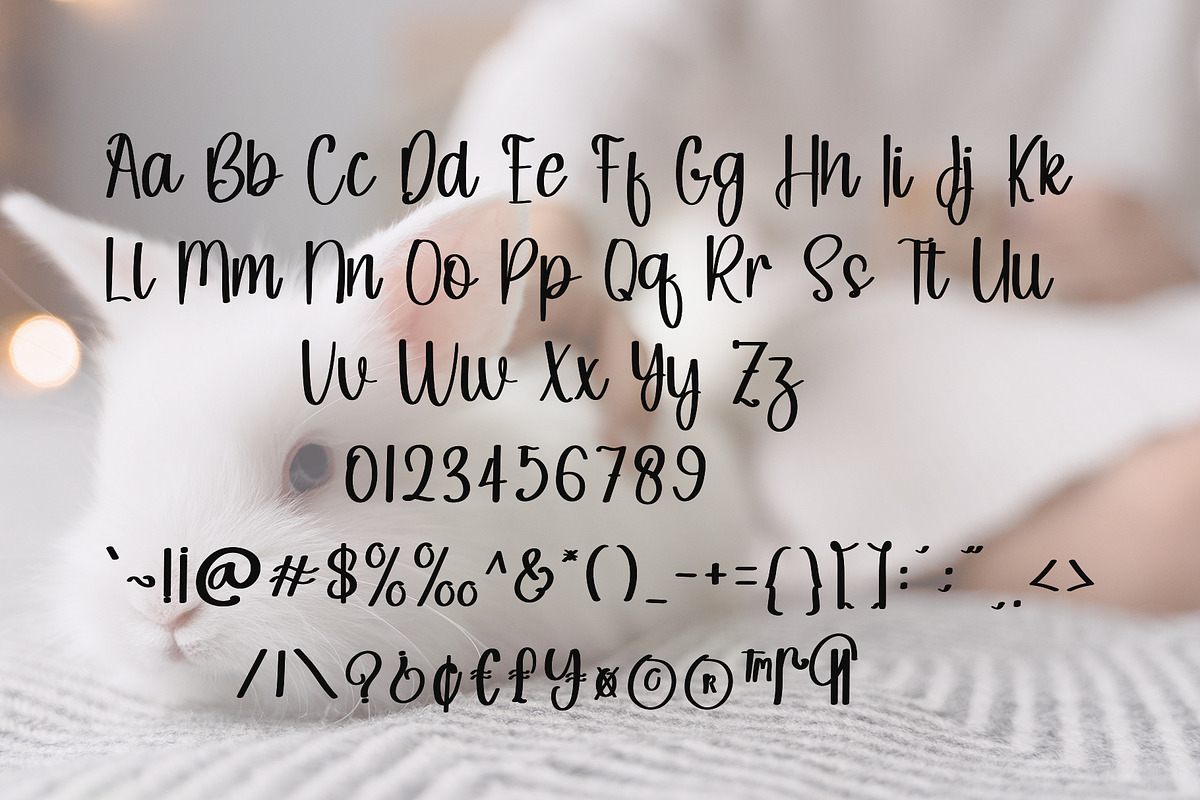 Rabbit, a Handwritten Font by InermediaSTUDIO (Photo 6 of 6)