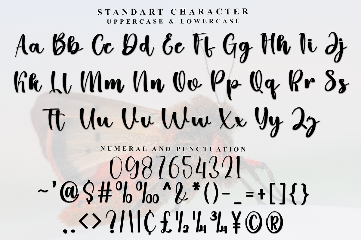 Homeday, a Handwritten Font by FreshTypeINK (Photo 5 of 7)