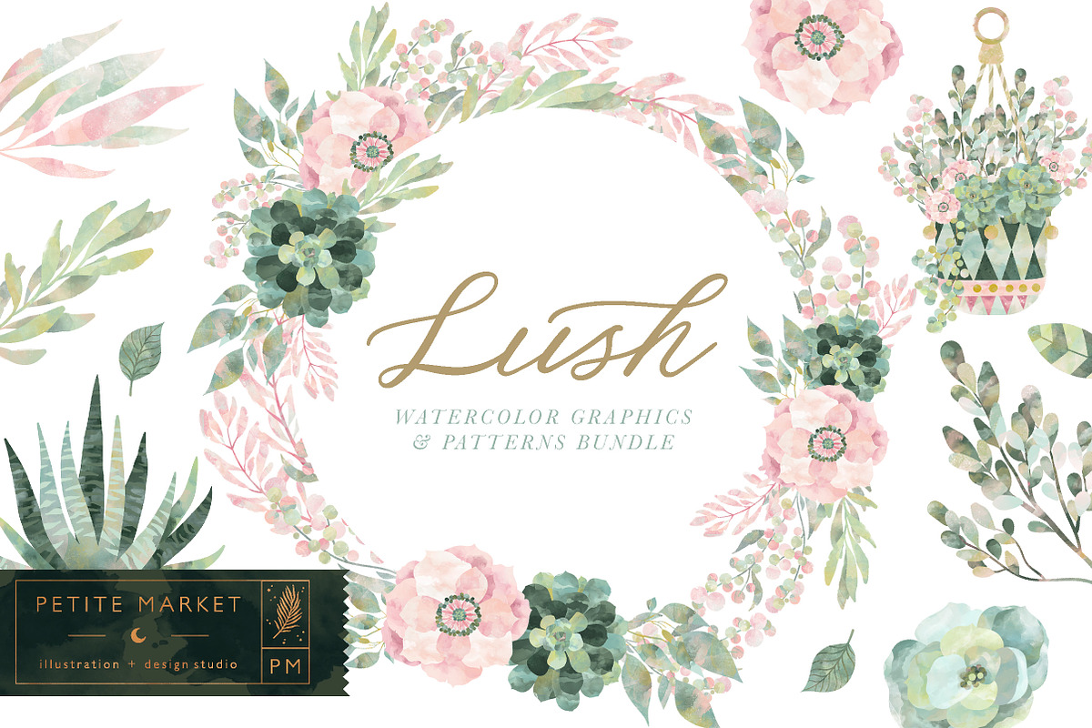 Lush Succulent Bundle, an Illustration by PetiteMarket (Photo 2 of 5)