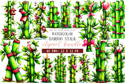 Watercolor Bamboo Stalk Clipart, an Illustration by DreamArtGraphic (Thumbnail 1 of 4)