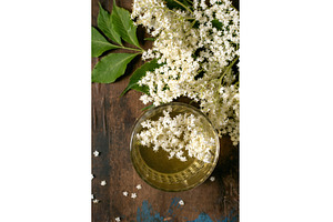 Elderflower Tea with Fresh White, a Food & Drink Photo by Natasha Breen