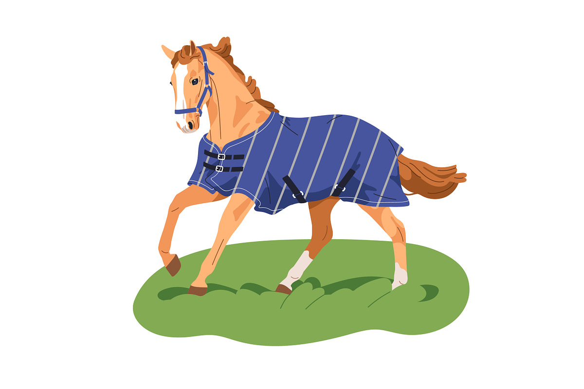 Horses, equine animals running set, an Animal Illustration by Good Studio (Photo 12 of 13)