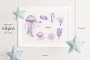 Watercolor Jellyfish Life Cycle Set, an Education Illustration by MayaNavits (Thumbnail 5 of 6)