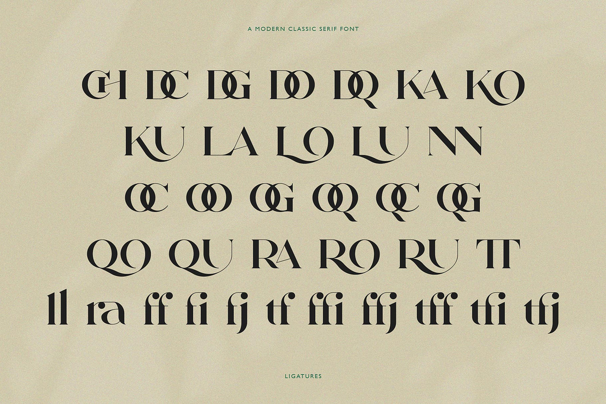 Qamille - Modern Classic Serif Font, a Serif Font by StudioinBry (Photo 9 of 13)