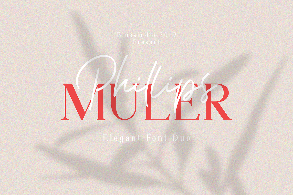 Phillips Muler // Elegant Font Duo, a Script Font by Bluestudio (Photo 1 of 11)