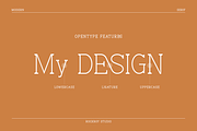 Blissful - Modern Stylish, a Serif Font by RockboyStd (Thumbnail 7 of 12)