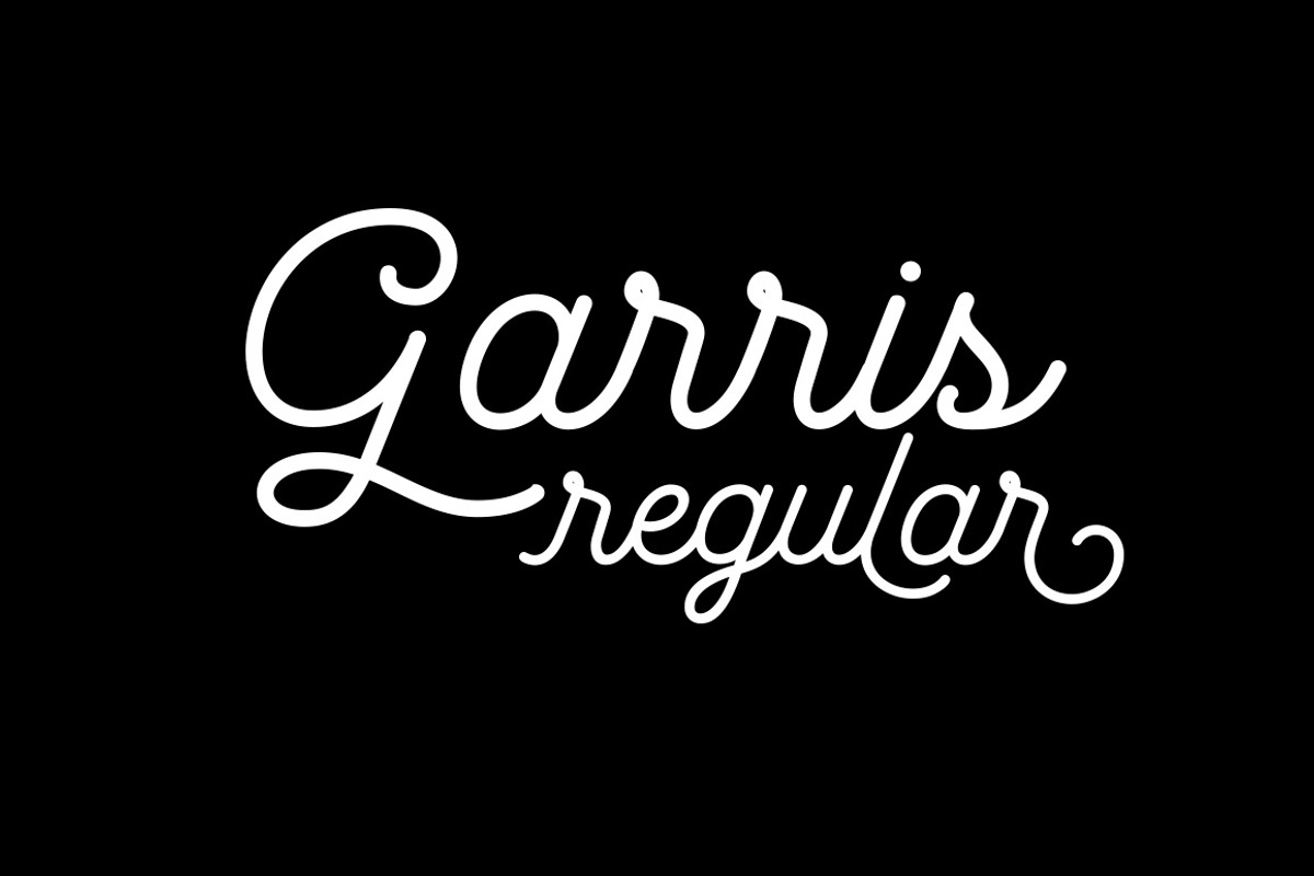 Garris Regular, a Script Font by Locomotype (Photo 1 of 3)
