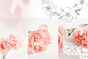 Pink Carnations Bundle, a Product Mockup by Peppermint &Tea (Thumbnail 3 of 6)