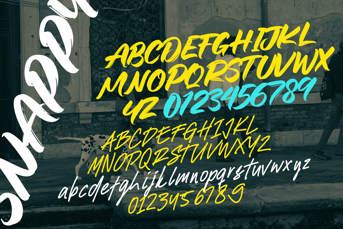 Snappy Font Duo – Brush and Script, a Script Font by overlaytemplates (Photo 4 of 5)