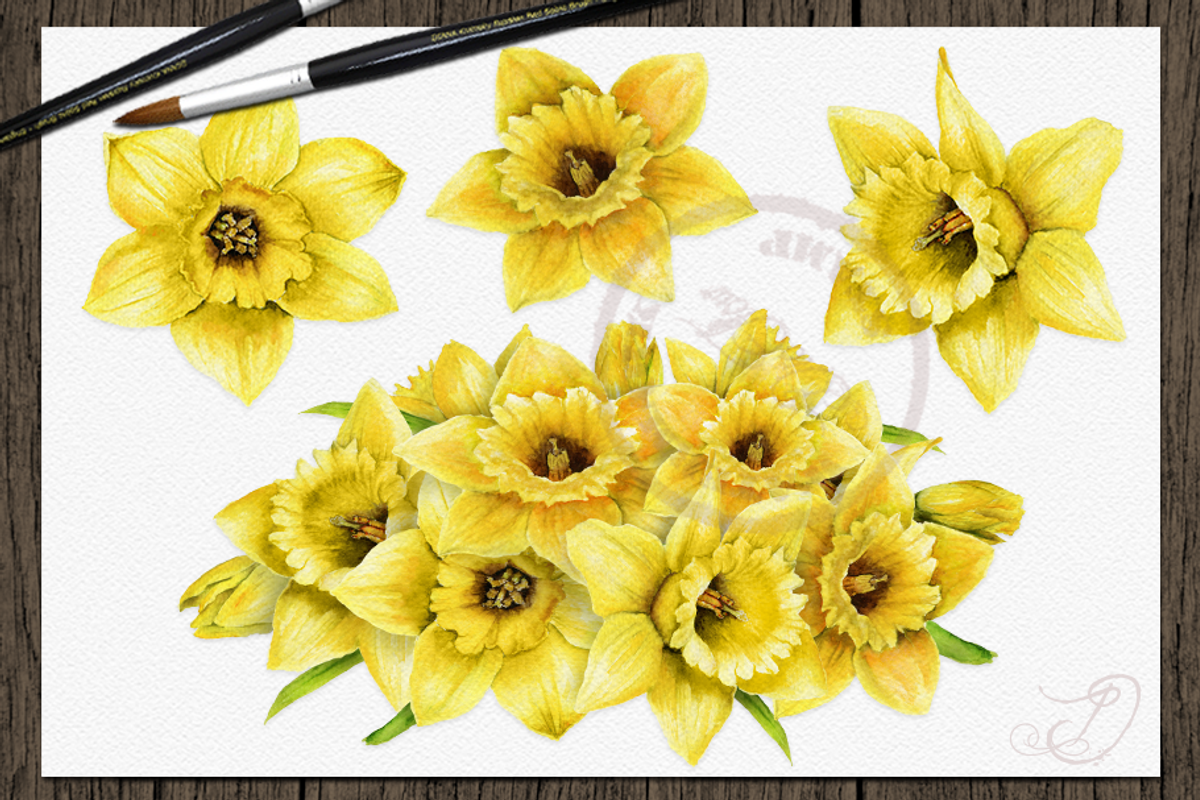 Daffodils Watercolor Clip Art, a Decorative Illustration by DioFlow (Photo 2 of 4)
