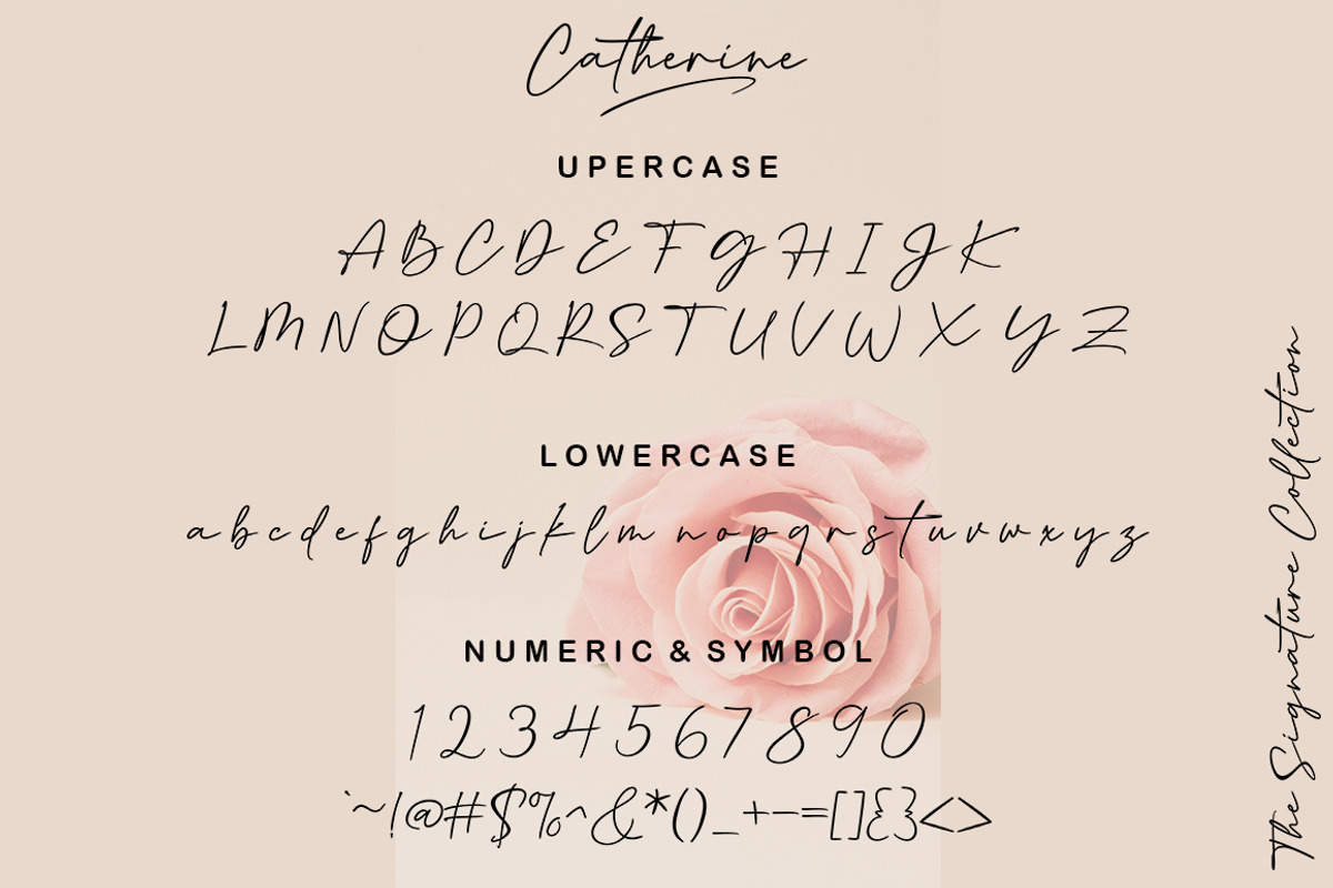 Catherine, a Script Font by Slex Studio (Photo 9 of 12)