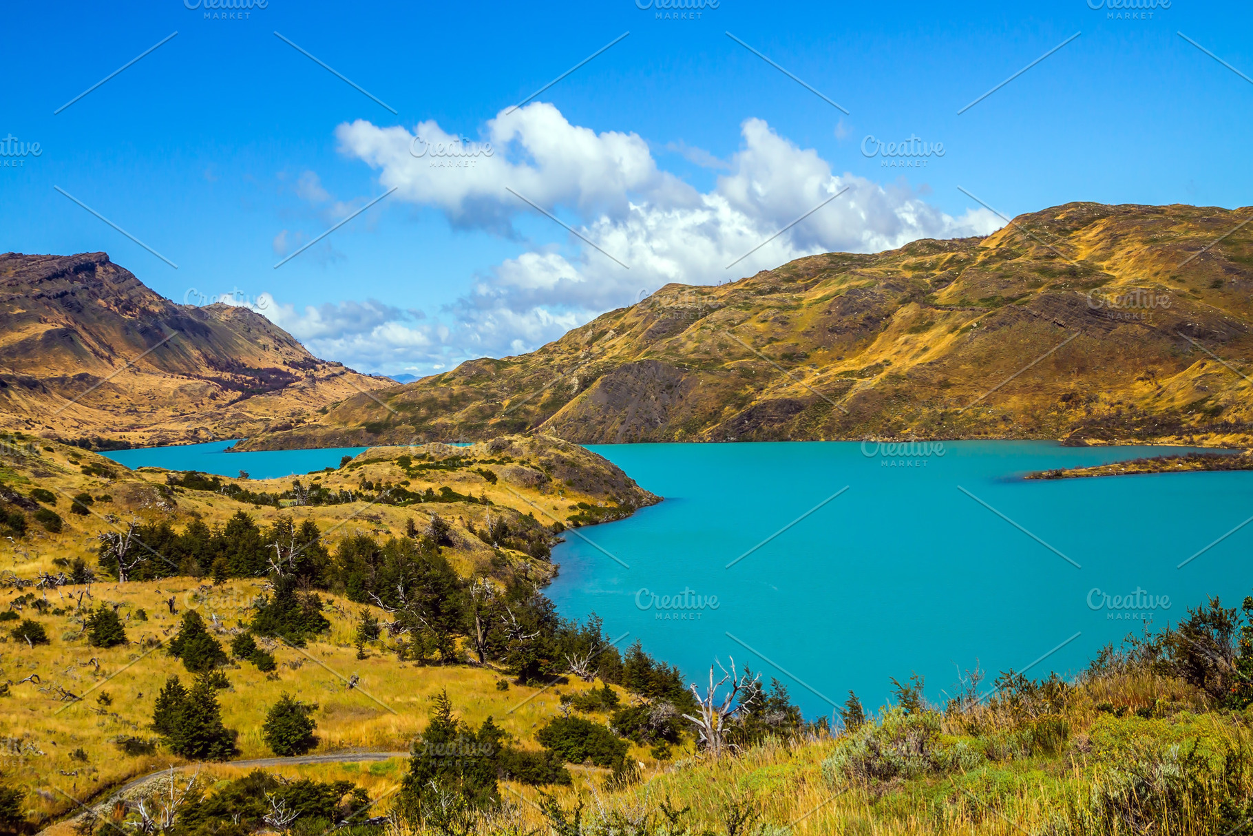 Rio Paine - quiet river flow, a Nature Photo by kavram