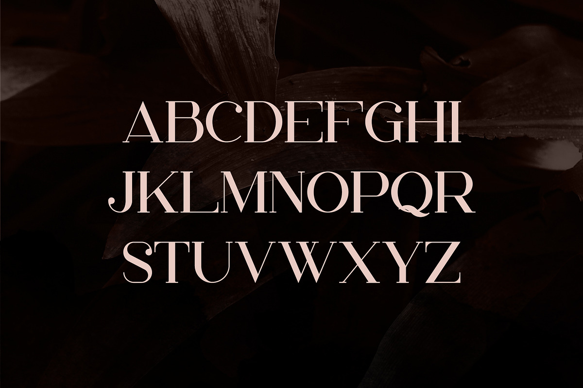 Papillon - Handcrafted Serif Font, a Serif Font by VP Fonts (Photo 2 of 13)