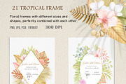Tropical dried leaves set, an Illustration by svetodesign (Thumbnail 4 of 16)