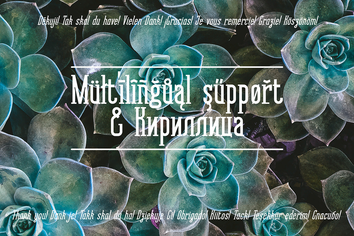 Asterlight typeface, a Serif Font by NREY (Photo 5 of 8)