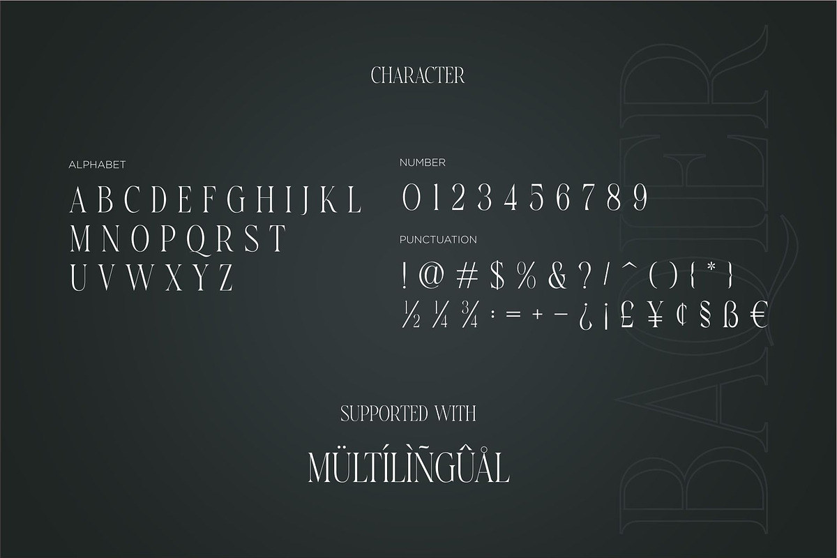 Baqier Modern Serif Font, a Serif Font by Dylla_studio (Photo 9 of 9)