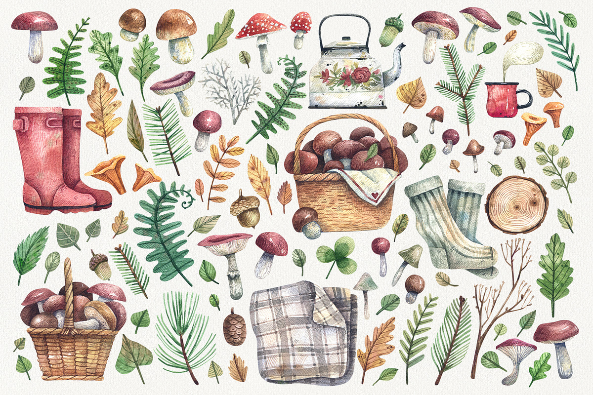 Fall Treasures, an Illustration by Watercolor by Tonia Tkach (Photo 2 of 10)