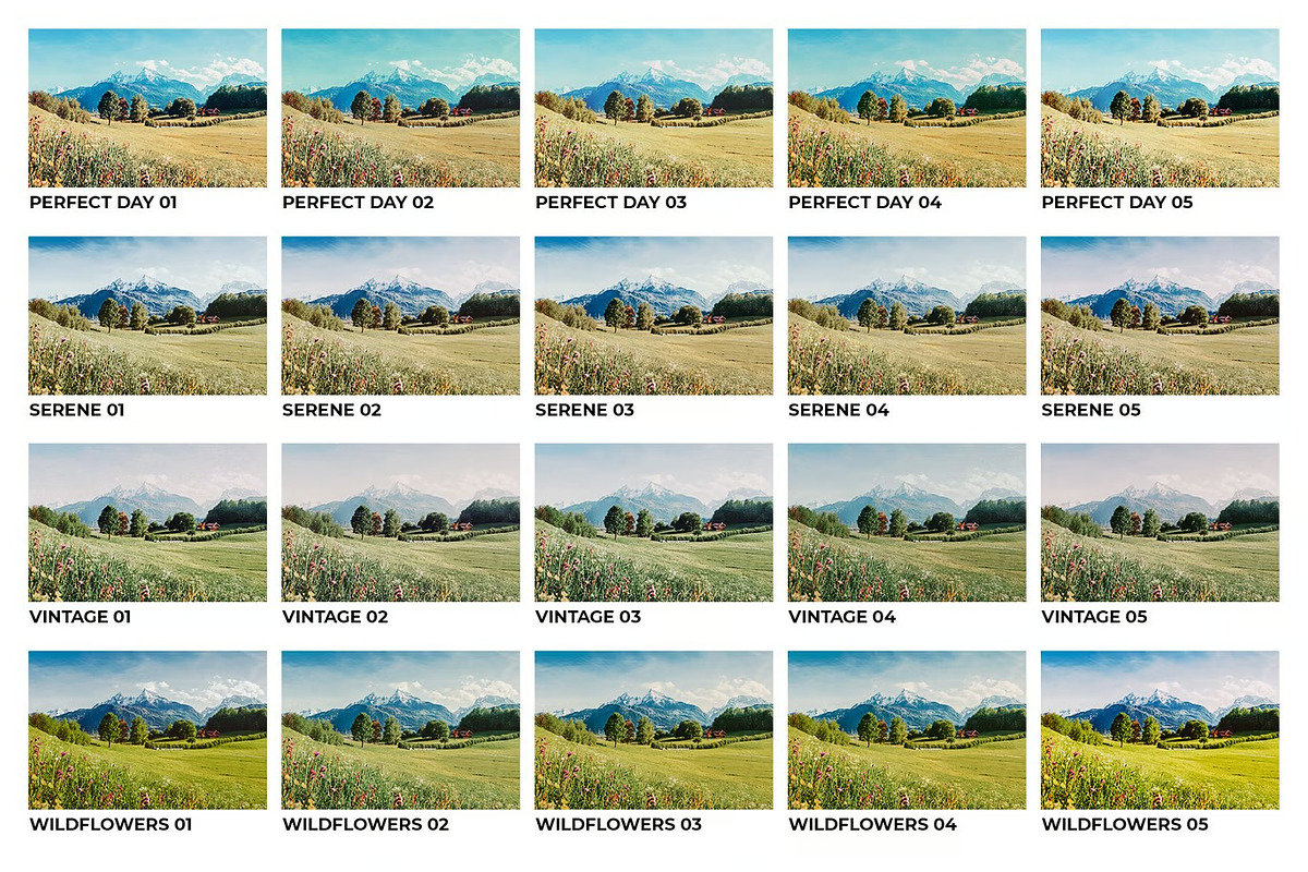 20 Meadow Lightroom Presets and LUTs, a Preset Add-On by Hubzway (Photo 7 of 10)