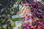 454 Infrared Fantasy Pro LUTs, a Preset Add-On by ShutterPro (Thumbnail 29 of 48)