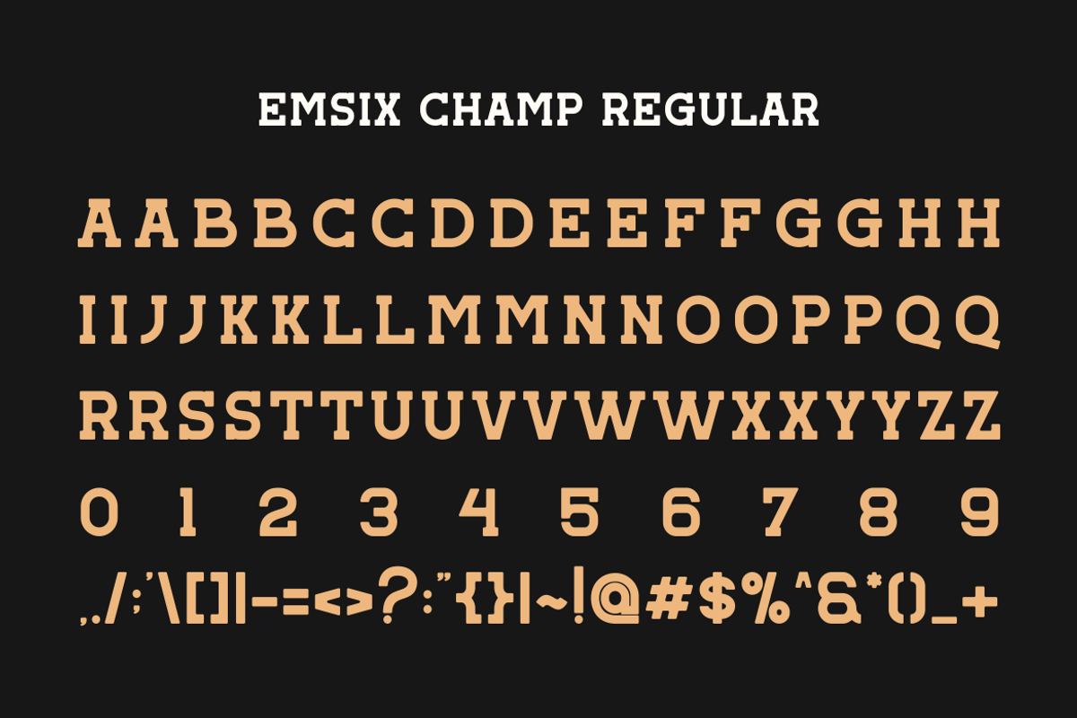 Emsix Champ - Vintage Retro Font, a Slab Serif Font by Viswal Studio (Photo 7 of 12)
