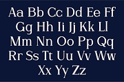 Marvene - Serif Font, a Serif Font by CuratedType Studio (Thumbnail 4 of 10)