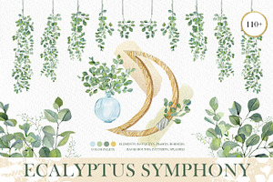 Watercolor EUCALYPTUS Greenery plant
