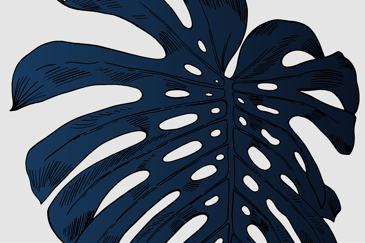Dark Monstera leaves, an Illustration by Tanya Akhmett (Photo 7 of 7)