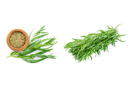tarragon or estragon isolated on a, a Nature Photo by NataPhoto
