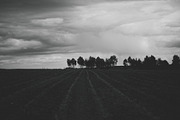 Mood collection, a Photo by Alekseyliss (Thumbnail 5 of 21)