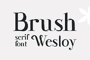Wesloy dry brush serif font, a Serif Font by kaer_shop (Thumbnail 1 of 9)