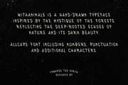 WithAnimals Font, a Handwritten Font by Towards The North (Thumbnail 3 of 8)