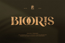 Biooris || Modern Classy Serif Font