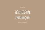 Frances Hickling, a Serif Font by Cruzine (Thumbnail 8 of 8)