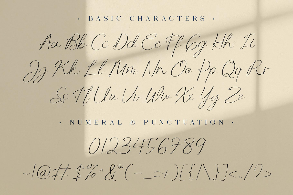 Manfollo Modern Script, a Script Font by alit design (Photo 5 of 15)