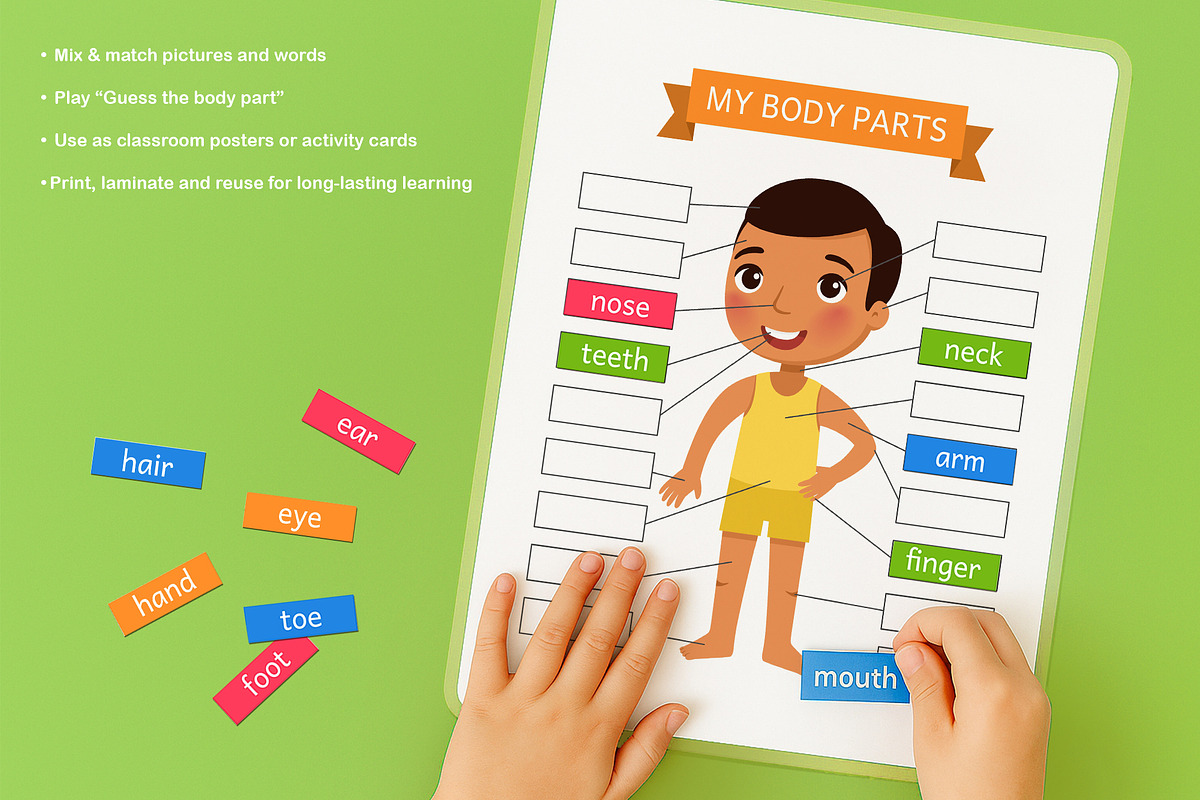 My Body Parts. Educational Flashcard, an Education Illustration by Valin Malin (Photo 3 of 7)