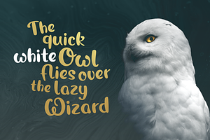 Magic Owl - An Enchanting Typeface