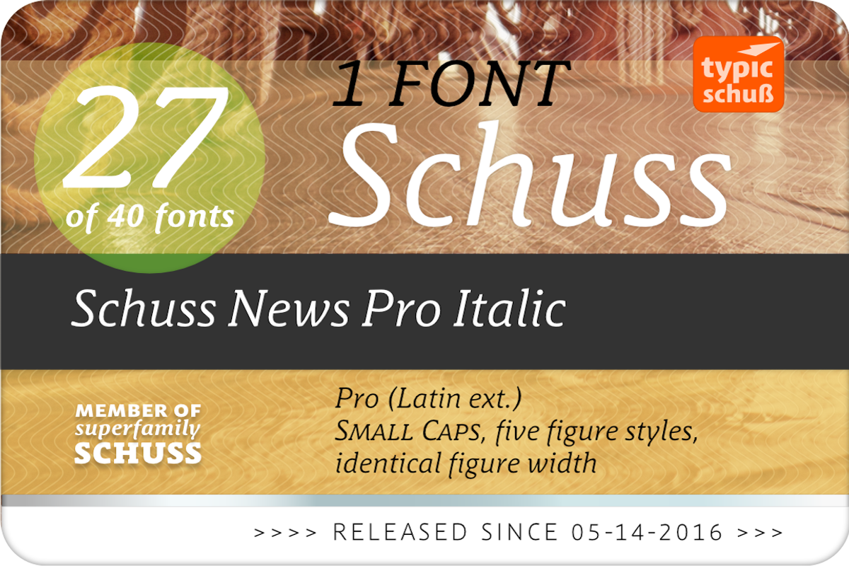 SchussNewsProItalic No.27 (1 Font), a Serif Font by typic schuss (Photo 2 of 7)