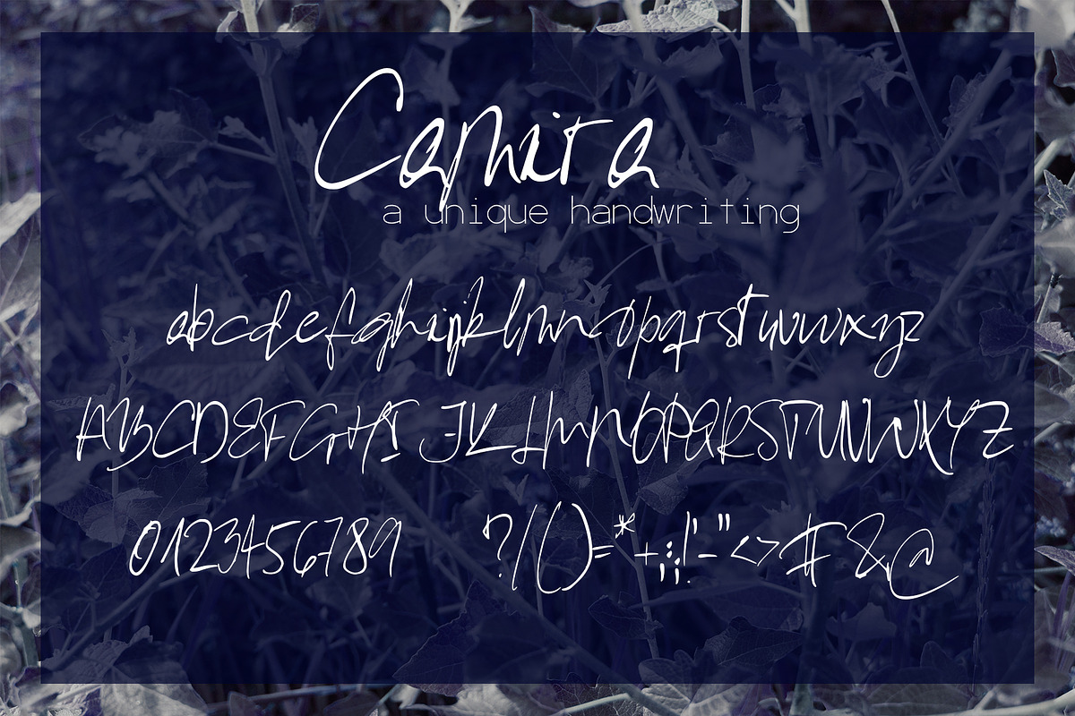 Camira Font preview 7