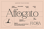 Quiescent Touch Elegant Serif Font, a Serif Font by Struvictory.art (Thumbnail 6 of 9)