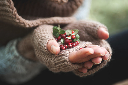 Hand in mittens holds cowberries berries featuring adult, autumn, and