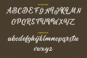 Volks Theatre Retro Fancy, a Script Font by Typetemp Studio (Thumbnail 8 of 10)