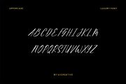 Roman Langston Script Font, a Handwritten Font by UICreative (Thumbnail 6 of 12)