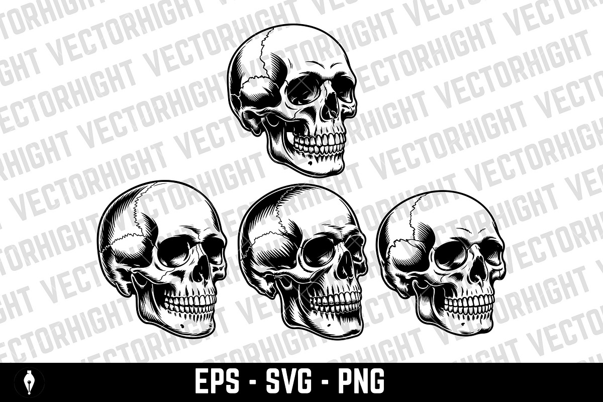 human skull, an Object Illustration by Vectorhight (Photo 1 of 3)