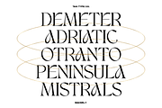 TAN - WAVERLY, a Serif Font by TanType (Thumbnail 2 of 22)