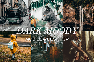 10 Dark Moody  Lightroom Presets
