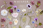 Whisper Floral Art Collection, an Object Graphic by Eclectic Anthology (Thumbnail 12 of 14)