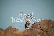 Emerge - Modern Poster Typeface, a Serif Font by Sohel Studio (Thumbnail 6 of 10)
