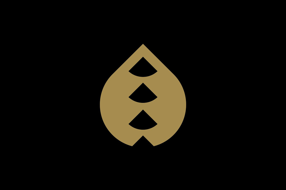 Droplet Logo, a Branding & Logo Template by Buqancreative (Photo 4 of 5)